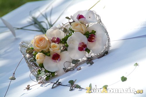 Fotografo profesional y economico, bodas books Reus